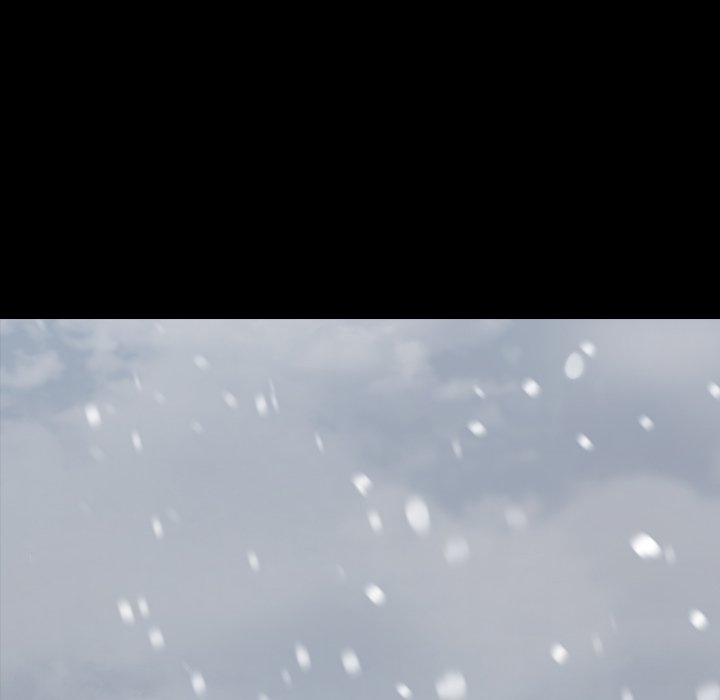 第17张