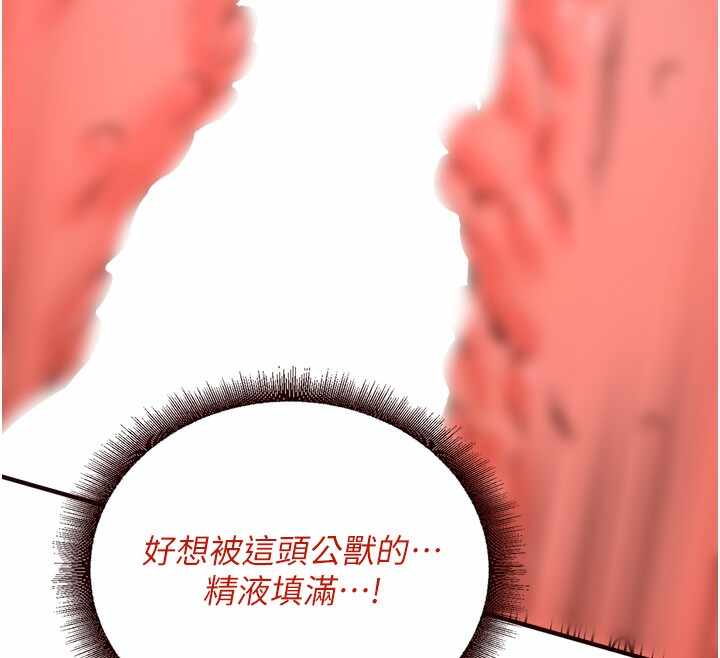 第3张