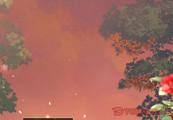 第6张
