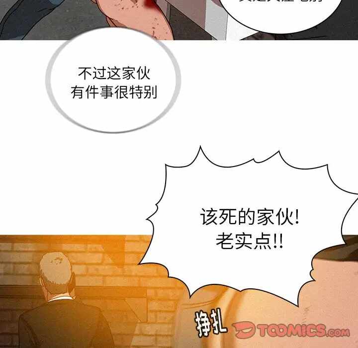 第52张