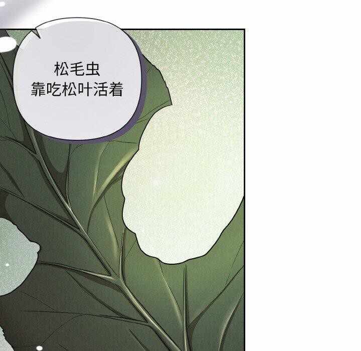 第74张