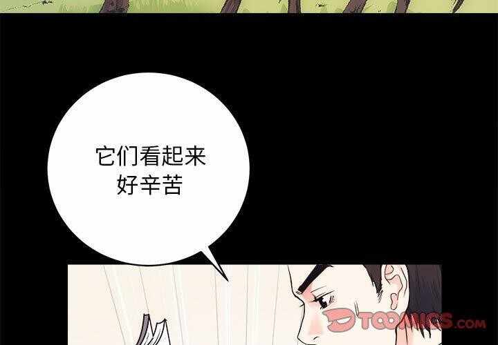第8张