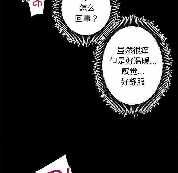 第148张