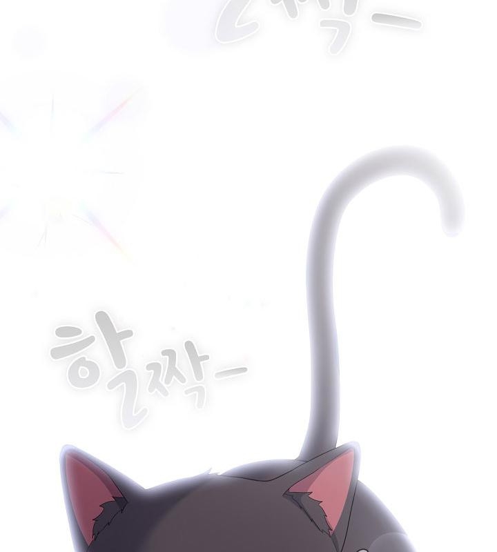 第167张