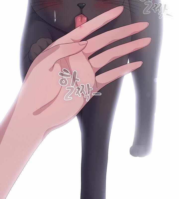 第171张