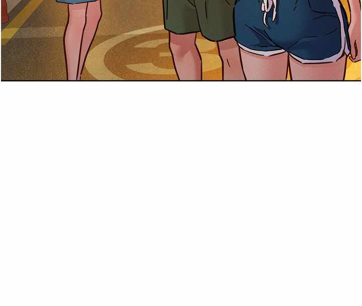 第29张