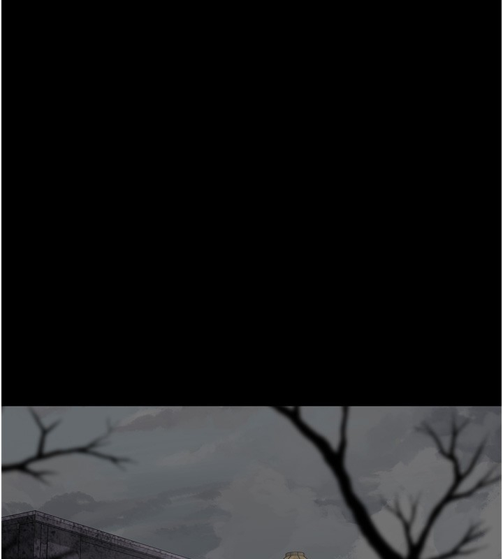 第176张
