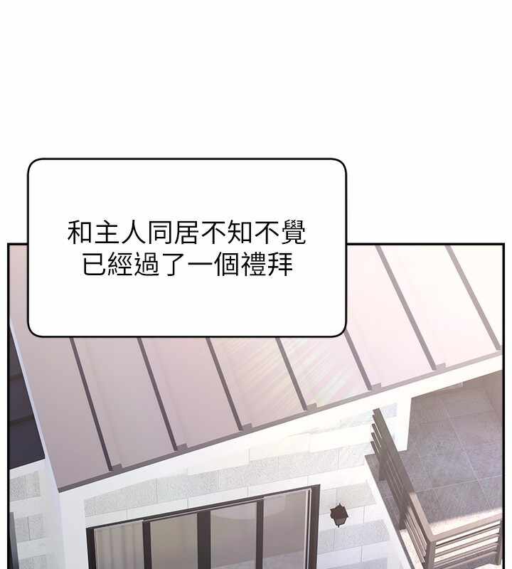 第68张