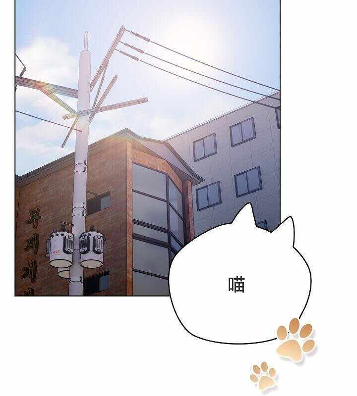 第12张