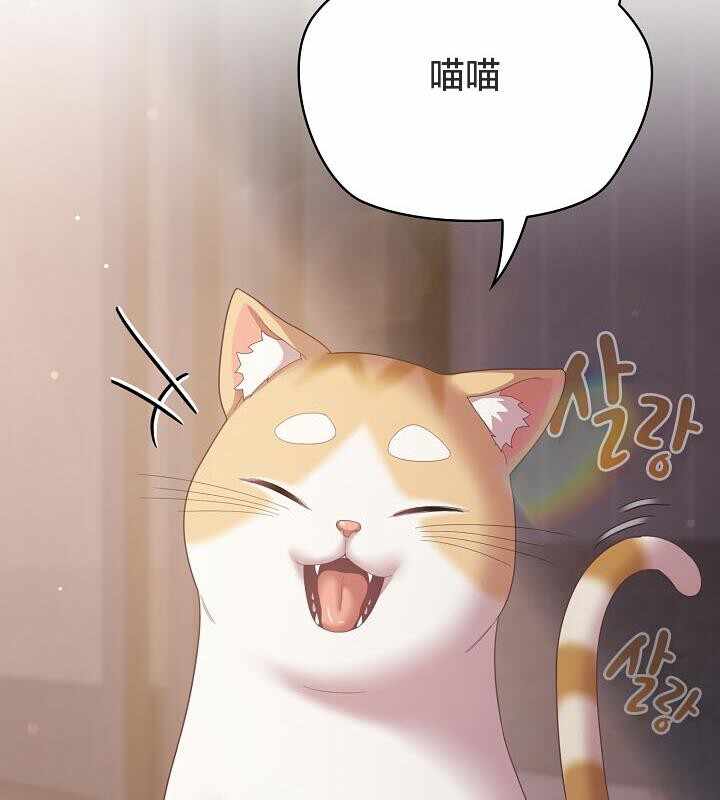 第18张
