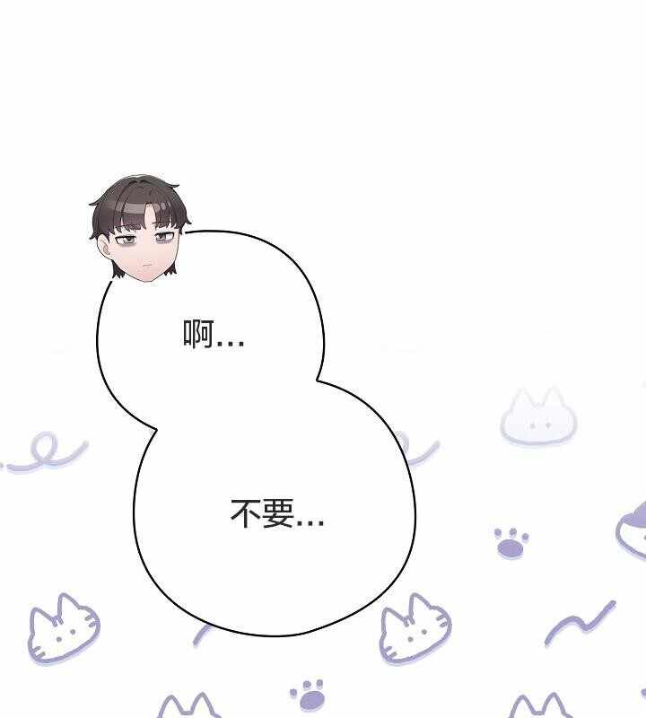 第41张