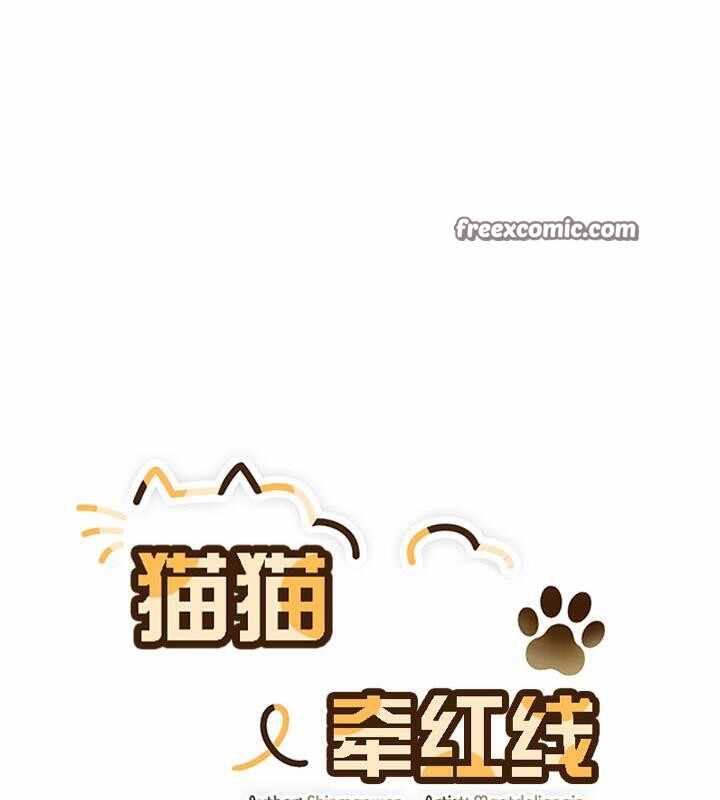 第48张