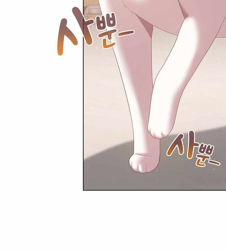 第132张