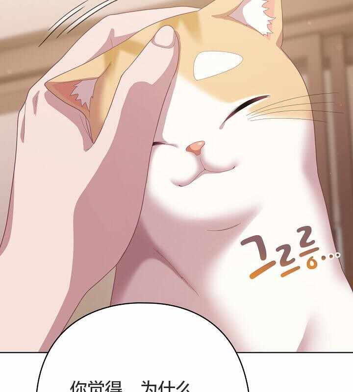 第141张
