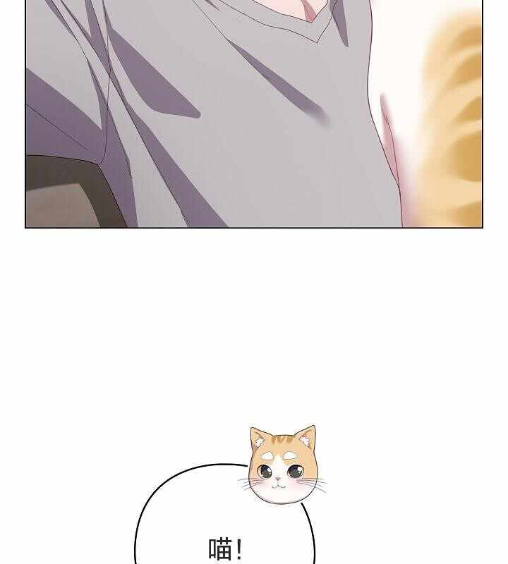 第146张