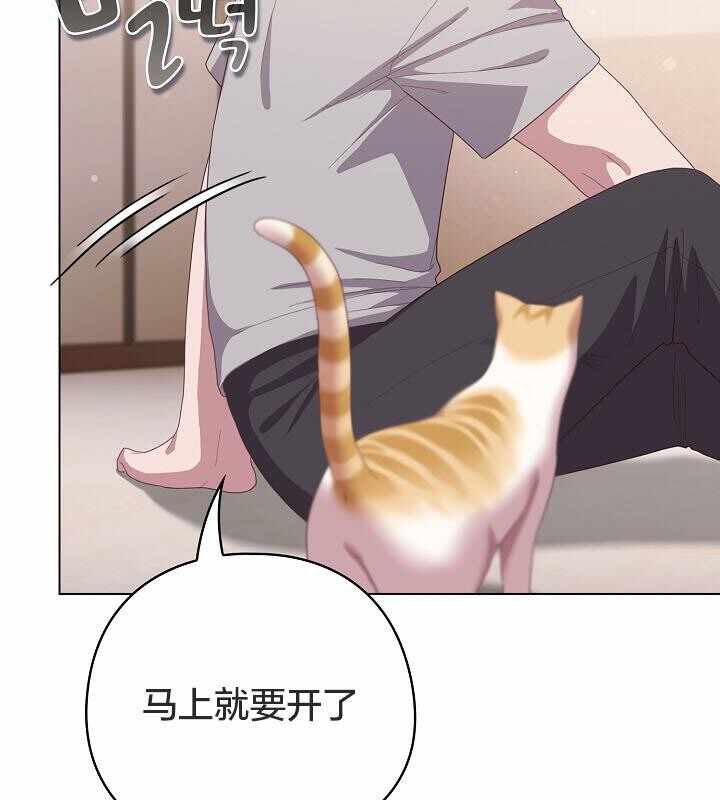 第156张