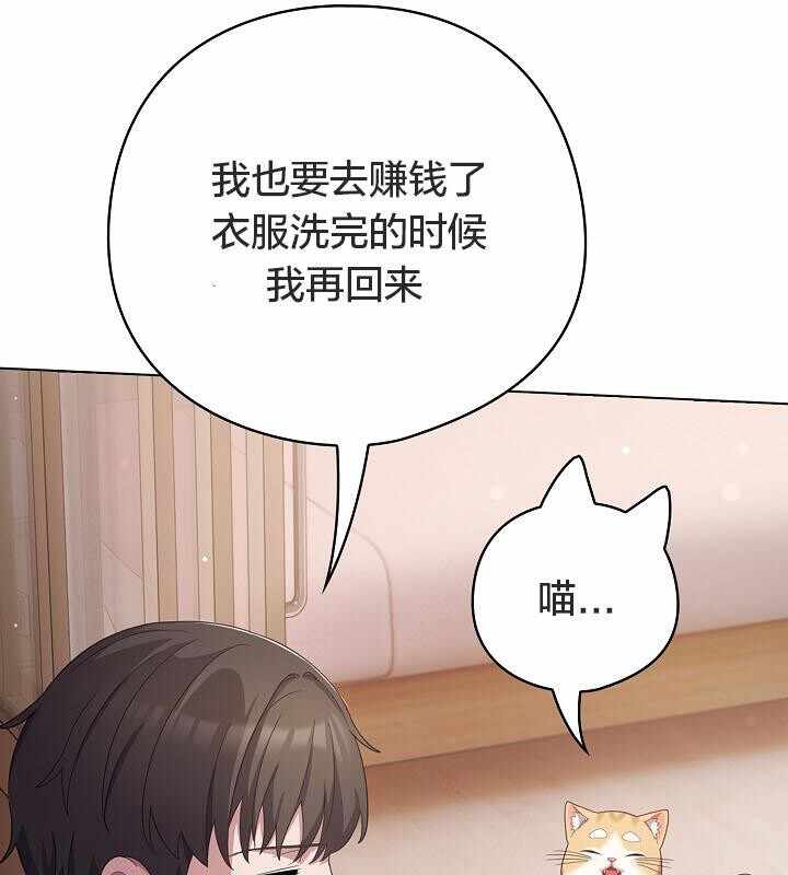 第161张
