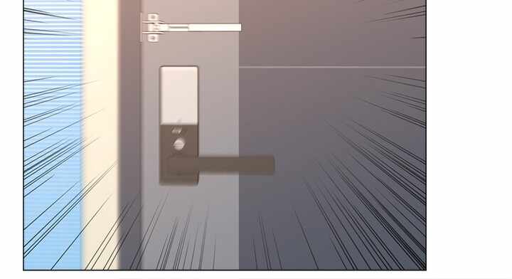 第11张