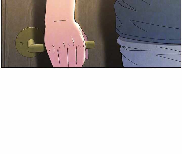 第88张
