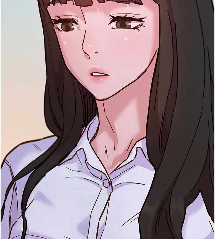 第35张