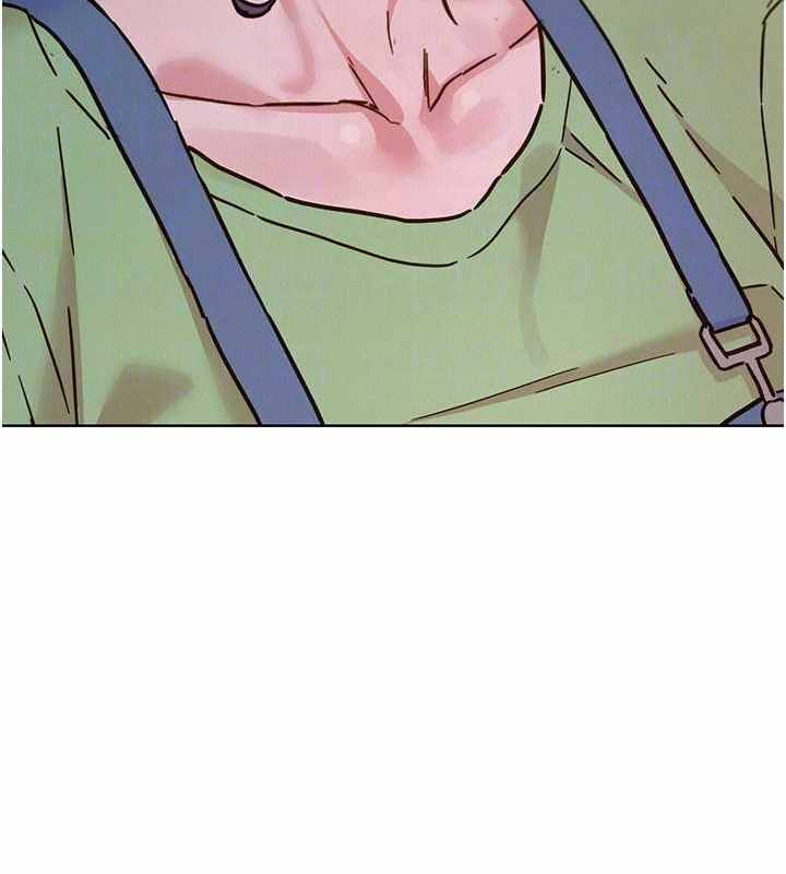 第41张