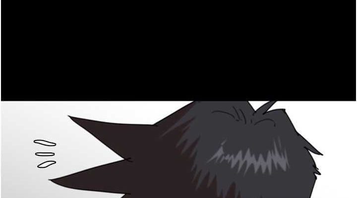 第11张