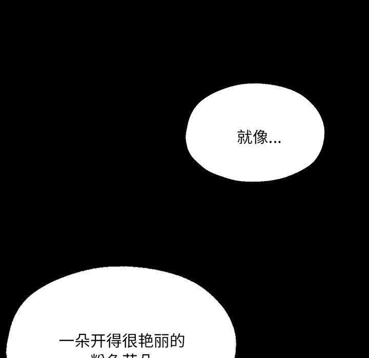 第64张