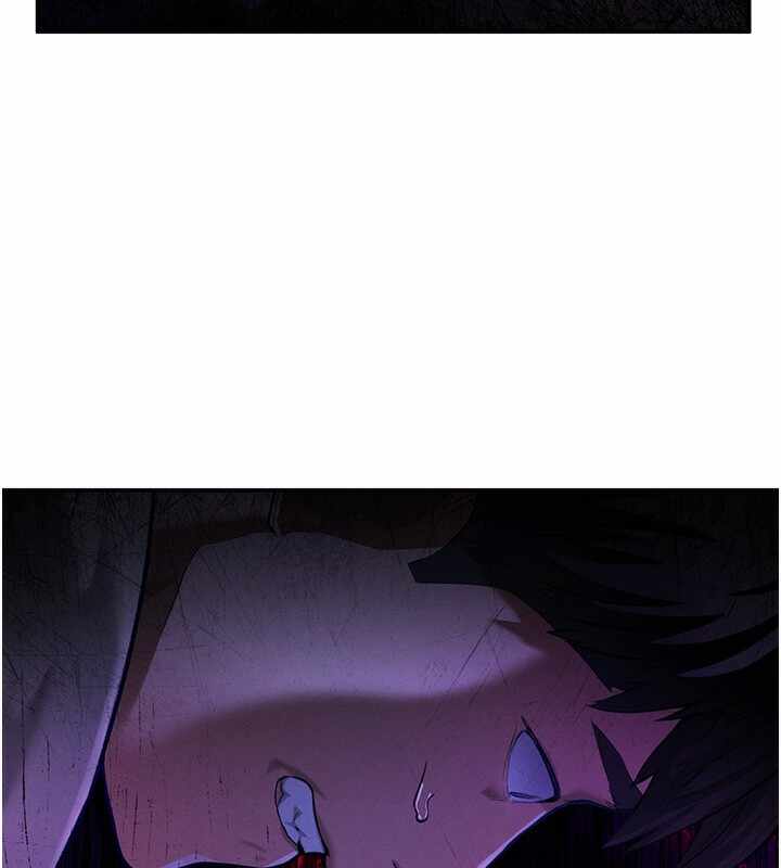 第48张