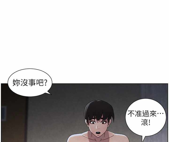 第132张