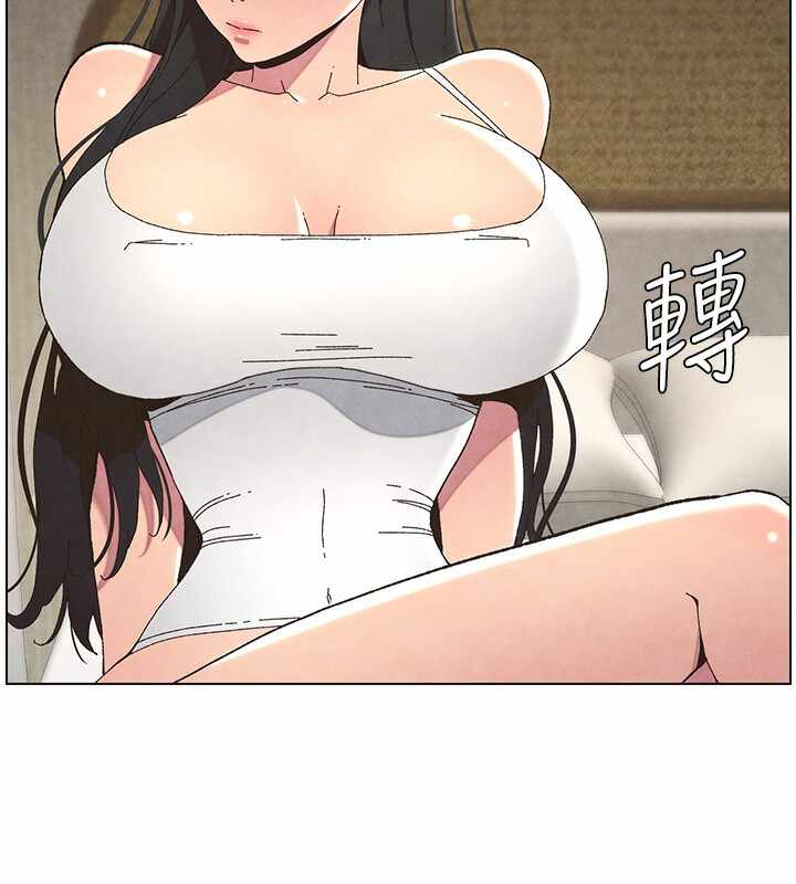 第44张