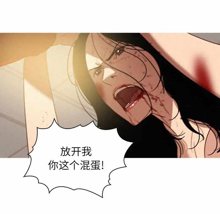 第23张