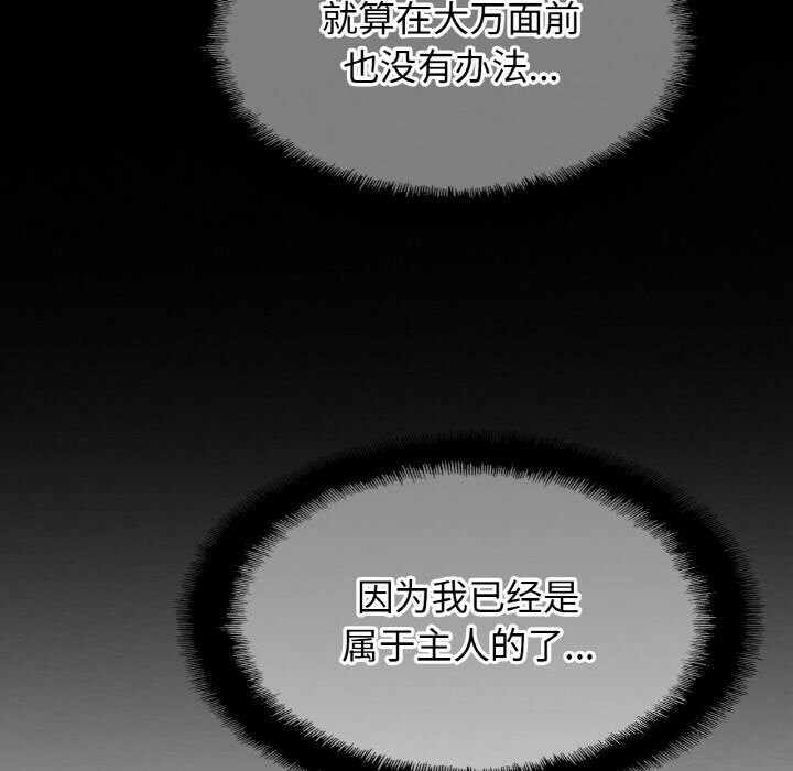 第84张