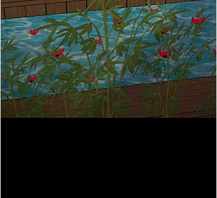 第8张