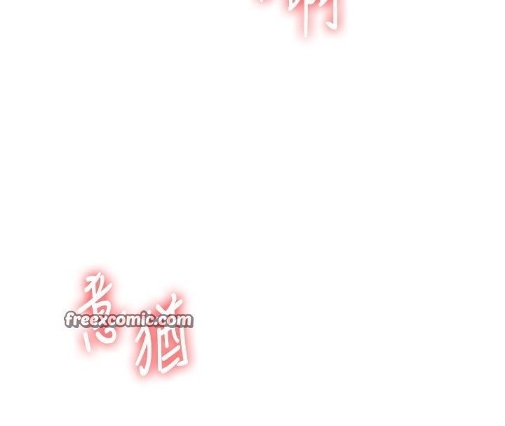 第4张
