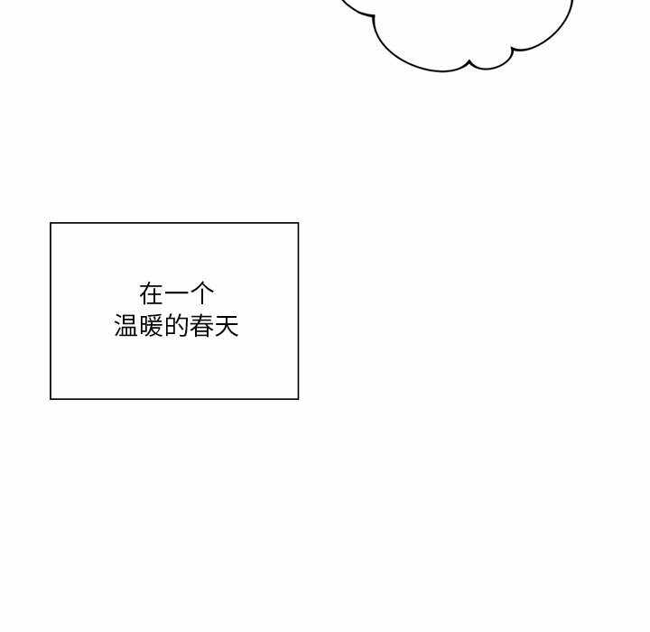 第91张