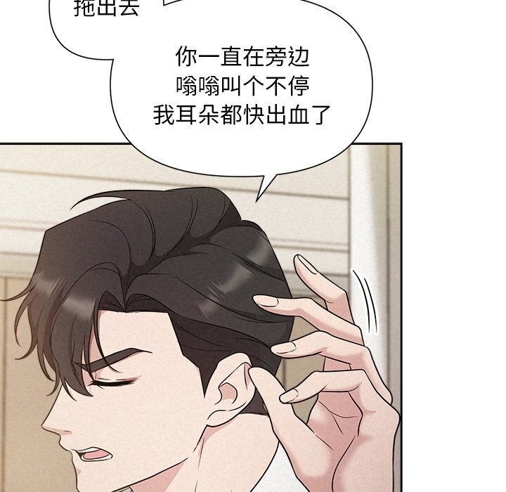 第46张
