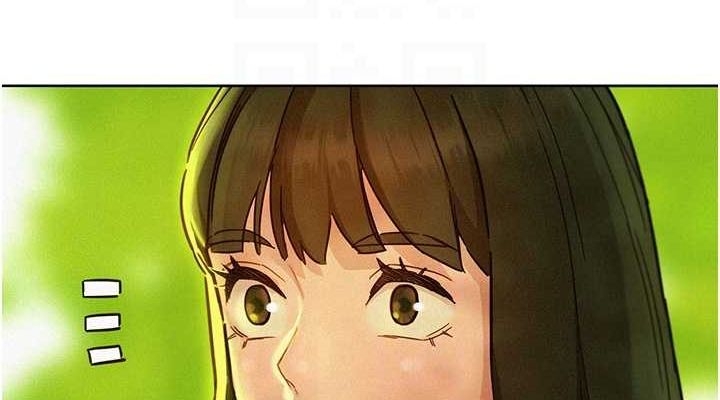 第3张