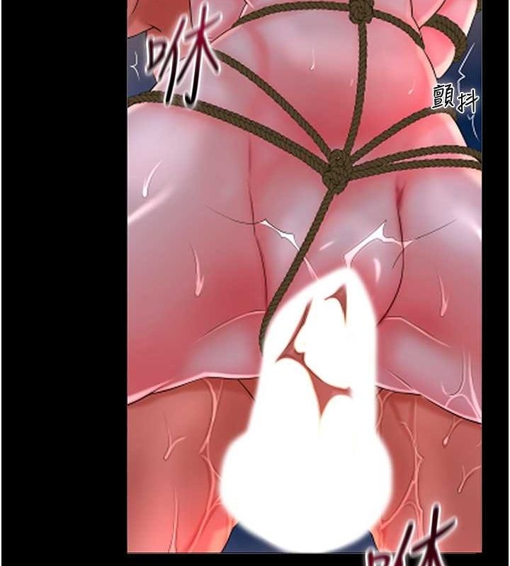 第13张