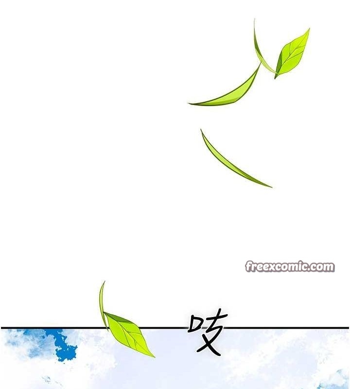 第32张