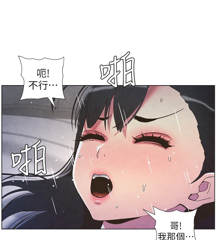 第24张