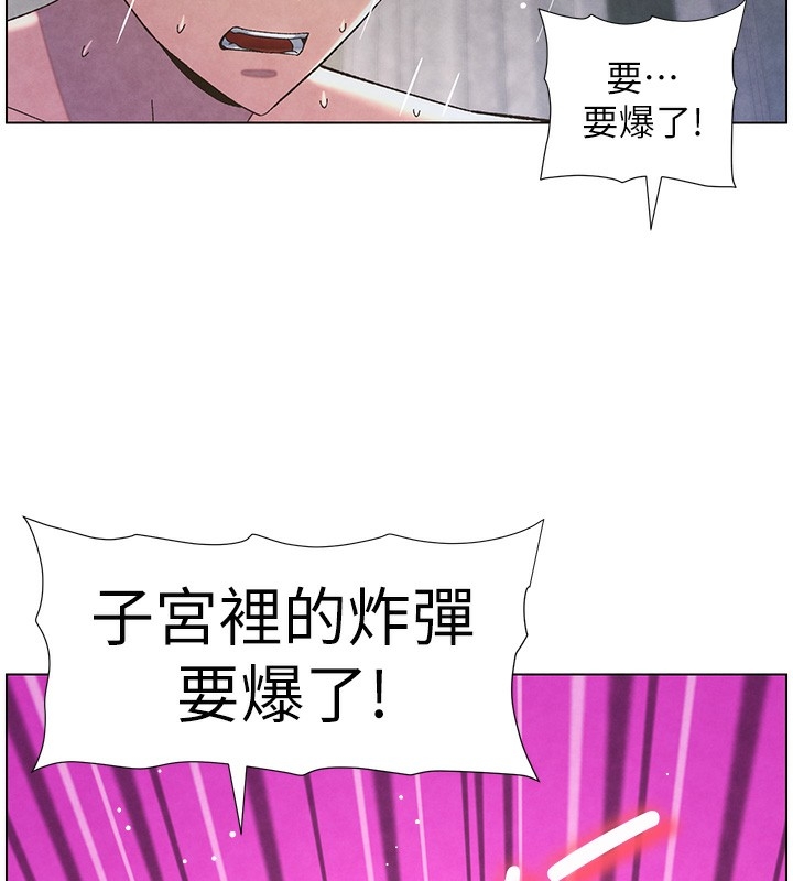 第26张