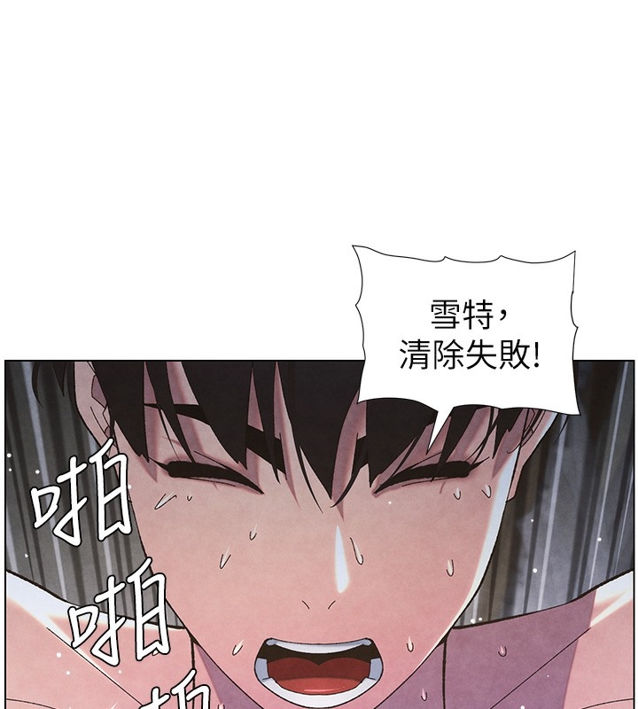 第29张