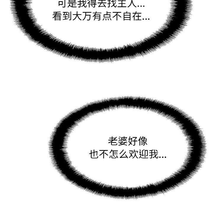 第63张