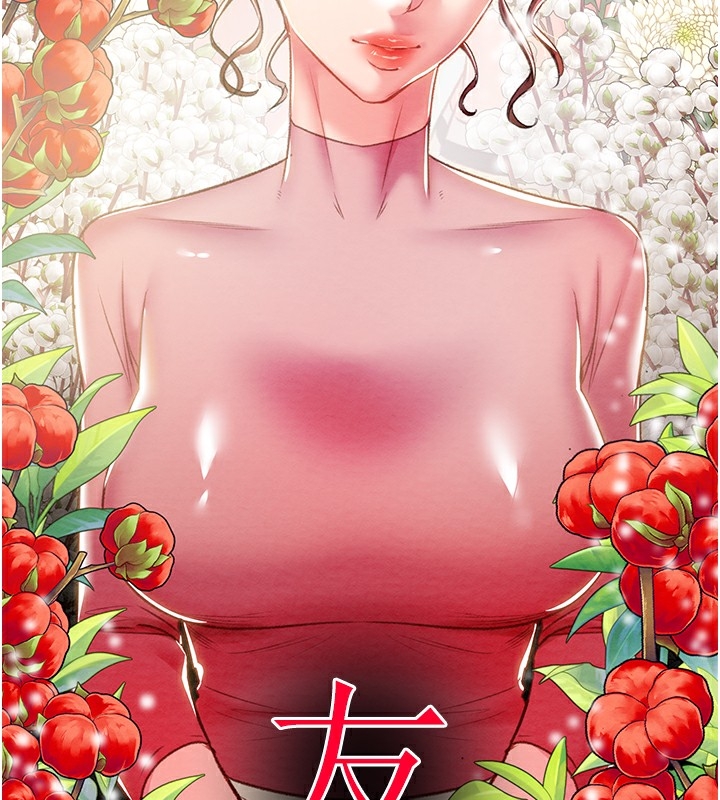 第35张
