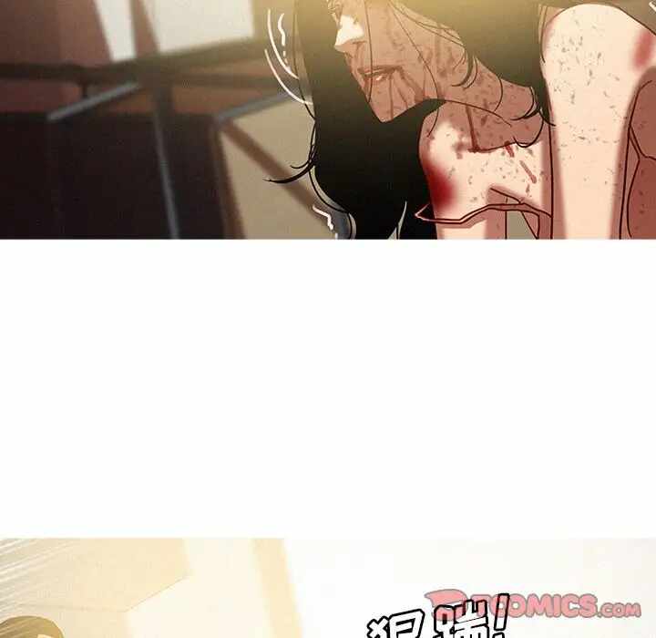 第30张