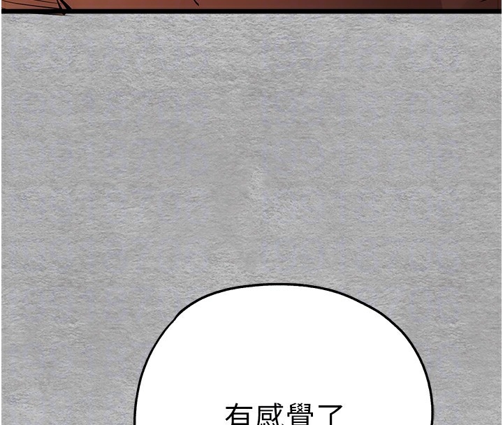 第116张