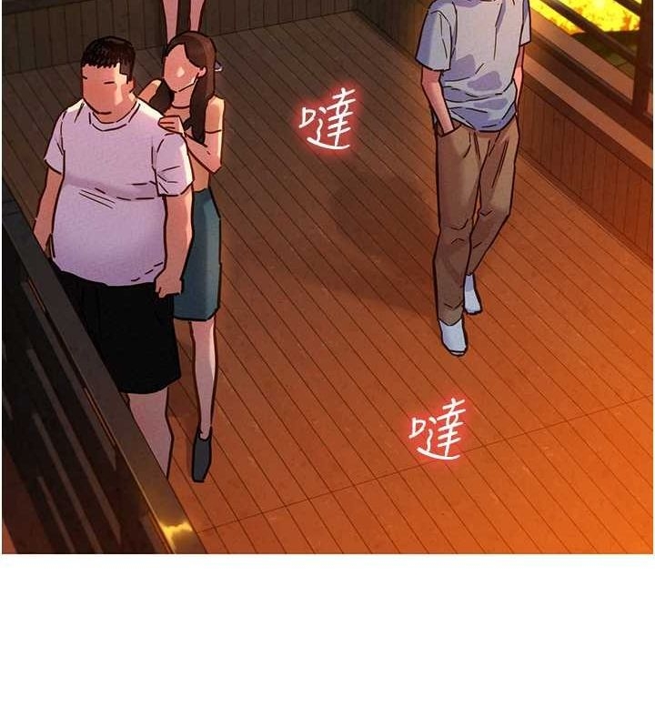 第17张