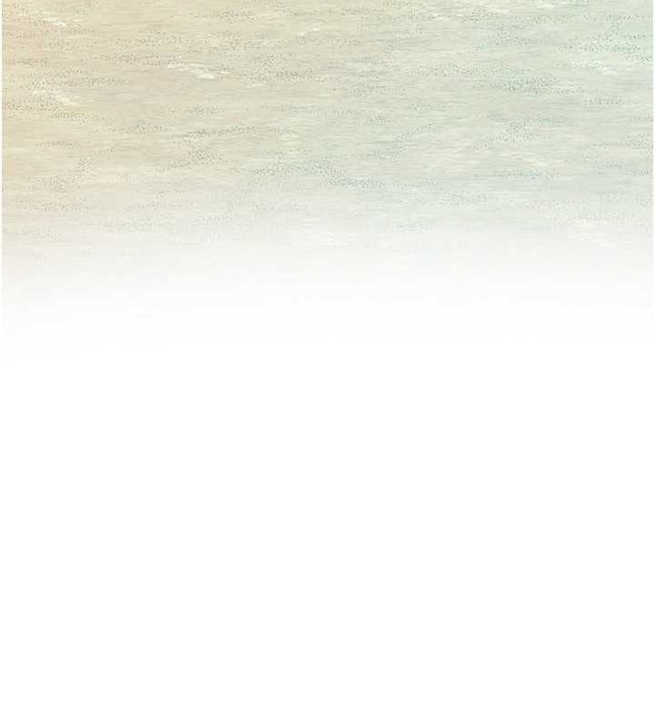 第84张