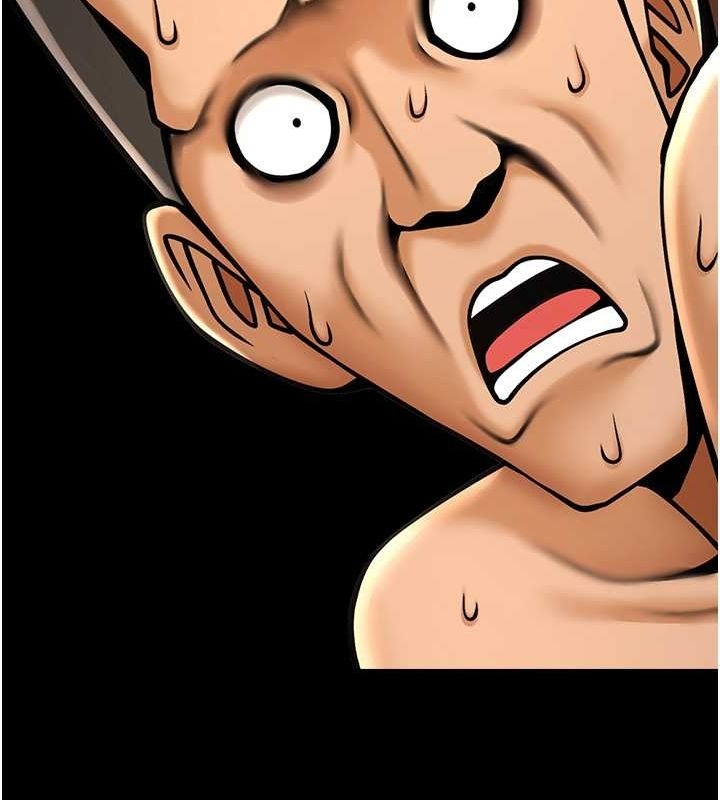 第11张