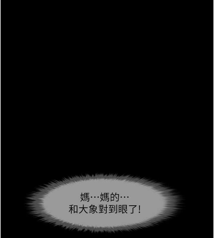 第12张